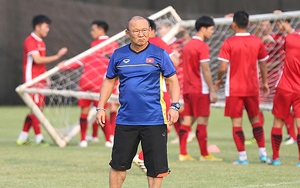 Thành bại tại AFF Cup