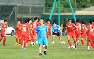 Chuyên gia Đoàn Minh Xương: 'Không quân xanh chất lượng, khó kiểm chứng những thử nghiệm'