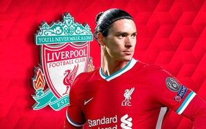 Liverpool chiêu mộ Darwin Nunez: Sự mạo hiểm có tính toán