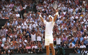 Novak Djokovic, sau Wimbledon là gì?