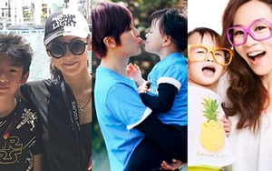 Ngô Ỷ Lợi, Trương Bá Chi và những người mẹ đơn thân mạnh mẽ của làng giải trí Hong Kong