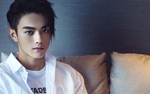 Hứa Khải 'Phó Hằng' trong 'Diên Hy Công Lược' là kẻ bạo hành, lừa tình hay là nạn nhân?