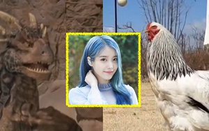 Thành công vô song của IU ở vai trò thần tượng được tiên đoán từ trước khi cô ra đời