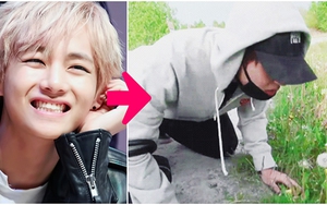 Tại sao V BTS lại là người vô hại nhất thế giới?
