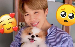 Đây là những lần Jimin BTS chứng tỏ là ‘boyfriend material’ tuyệt vời
