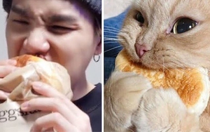 Phải có lý do rõ ràng tại sao ARMY lại gọi Suga BTS là 'Lil Meow Meow'
