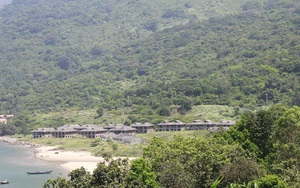 Doanh nghiệp hy sinh vì Sơn Trà sẽ lấy được lòng dân