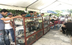 Phiên chợ đồ cổ 'có một không hai' ở Đà Nẵng dịp lễ 2/9
