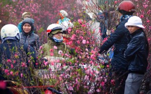 Tết Nguyên Đán Mậu Tuất sẽ được nghỉ 7 ngày