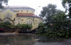 Bão số 5 đổ bộ vào đất liền, một số địa phương đã ghi nhận thiệt hại