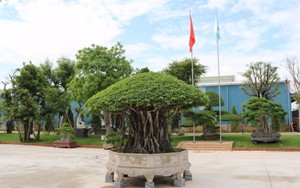 Thạch Bàn xây dựng mô hình nhà máy xanh
