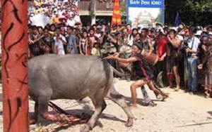 Huế: Trả lại số tiền người dân đã đóng góp cho Lễ hội đâm trâu