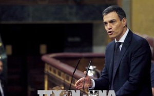 Thủ tướng Tây Ban Nha phủ nhận đạo văn trong luận án tiến sĩ