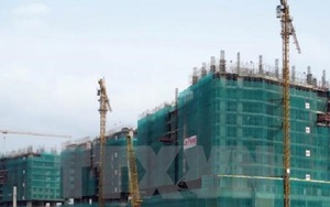 Nghiên cứu ý kiến của Giáo sư Đặng Hùng Võ về việc xử lý các dự án 'treo'