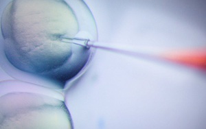 Trung Quốc tạm ngừng nghiên cứu về con người sau thí nghiệm 'biến đổi gien' trẻ sơ sinh gây chấn động