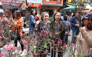 Nhộn nhịp chợ hoa Hàng Lược, một năm chỉ họp một lần duy nhất