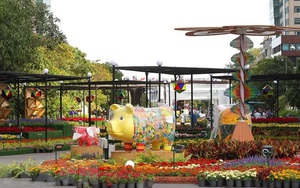 Đường hoa Nguyễn Huệ Tết Kỷ Hợi: Ấn tượng từ những chú lợn mũm mĩm
