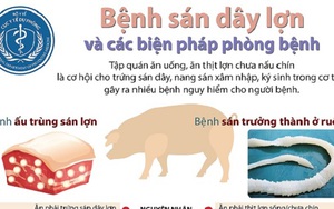 Bệnh sán dây lợn và các biện pháp phòng bệnh