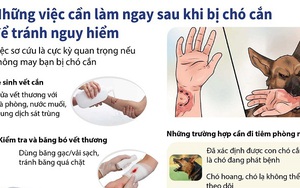 Những việc cần làm sau khi bị chó cắn để tránh nguy hiểm