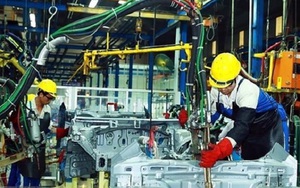 Mua xe ô tô ngay hay chờ chính sách giảm 50% phí trước bạ?