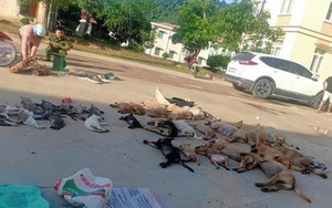 Thanh Hóa: Phát hiện đôi nam nữ trộm hơn 2 tạ chó, mèo trong một đêm