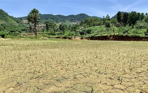 Từ ngày 3/7, nắng nóng có khả năng dịu dần ở các tỉnh từ Thanh Hóa đến Thừa Thiên Huế