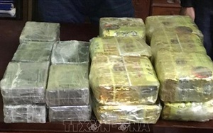 Hai án tử hình, bốn án tù chung thân cho 'đại gia đình' mua bán 80 bánh heroine