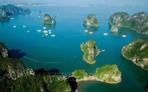 Quảng Ninh: Sớm xem xét chính sách hỗ trợ các doanh nghiệp kinh doanh tàu nghỉ đêm trên vịnh Hạ Long