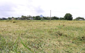 Bắc Bộ, Tây Nguyên và Nam Bộ mưa dông, đề phòng khả năng xảy ra lốc, sét, mưa đá và gió giật mạnh