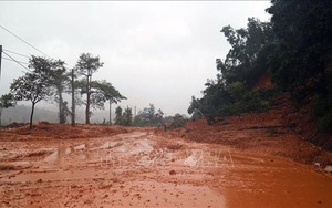 Quảng Trị: Tìm thấy 6 thi thể trong một gia đình bị vùi lấp do sạt lở núi