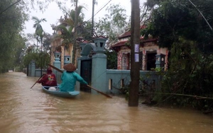 Tập trung ứng phó với bão số 8 và cứu trợ khẩn cấp nhân dân vùng lũ