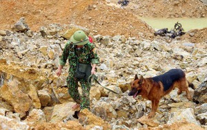 Vụ sạt lở tại Thủy điện Rào Trăng 3: Thu hẹp dần phạm vi tìm kiếm những người mất tích