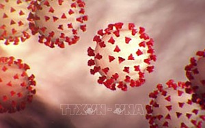 Phát hiện tác dụng của thuốc ức chế beta trong điều trị bệnh COVID-19