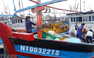 Chủ động ứng phó bão VAMCO và hoàn lưu mưa sau bão số 12