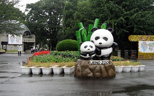 Vườn thú Tokyo Nhật Bản đón mừng voi con đầu tiên sinh ra tại đây