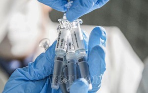 Ngày 10/12, khởi động Chương trình thử nghiệm vaccine giai đoạn 1 và thu tuyển người tình nguyện