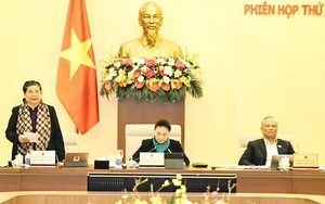 Phiên họp thứ 51 Ủy ban Thường vụ Quốc hội: Thành phố Thủ Đức có thể đóng góp tới 7% GDP cả nước