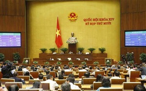 Chính phủ ban hành hai Nghị quyết về phát triển kinh tế - xã hội và cải thiện môi trường đầu tư