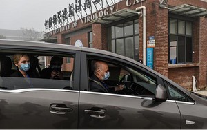 Đoàn chuyên gia WHO tới phòng thí nghiệm virus ở Vũ Hán