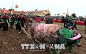 Ý nghĩa Lễ tịch điền tái dựng hình tượng Vua Lê Đại Hành cày ruộng