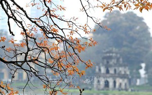 Du lịch Hà Nội tạm dừng đón khách, khẩn trương hỗ trợ cho các hướng dẫn viên du lịch gặp khó vì dịch Covid-19