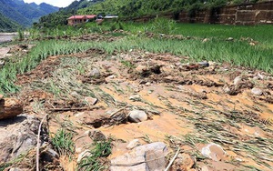 Khu vực vùng núi trung du Bắc Bộ mưa to về đêm và sáng