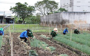 Thực hiện nghiêm Thông điệp 5T, 'pháo đài' trong dịp nghỉ lễ Quốc khánh 2/9