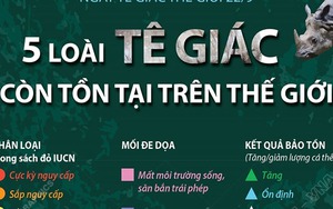 Ngày Tê giác thế giới 22/9: 5 loài tê giác còn tồn tại trên thế giới