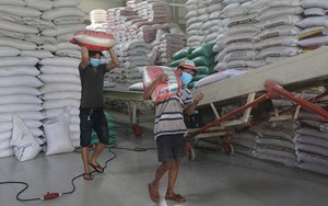 Phó Trưởng đại diện UNDP: Chung sống với Covid, Việt Nam không phải ngoại lệ