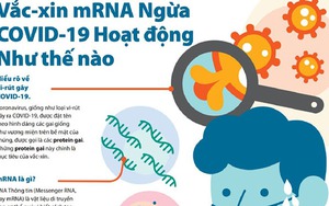 Vaccine công nghệ mRNA – Triển vọng chống lại các căn bệnh nguy hiểm