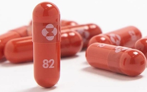 Phát hiện đột phá của giới khoa học Anh về hướng điều trị hiệu quả Covid-19