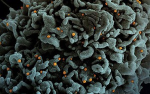 WHO kêu gọi Đông Nam Á cảnh giác trước biến thể Omicron