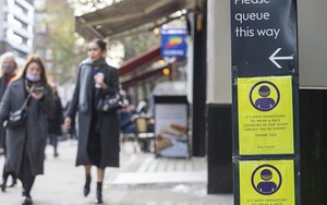 Phân tích các đột biến của biến thể Omicron