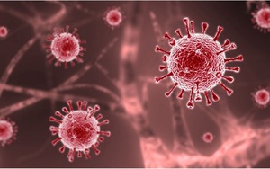 Nhật Bản tìm ra đột biến khiến biến thể Delta nguy hiểm hơn